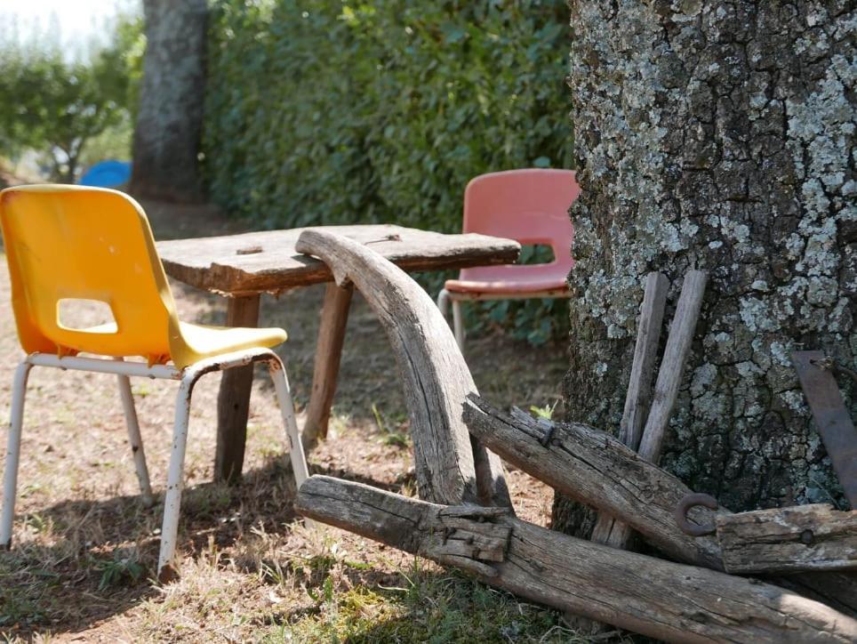 Al Bosco Delle Api Hotell Gallicchio Eksteriør bilde