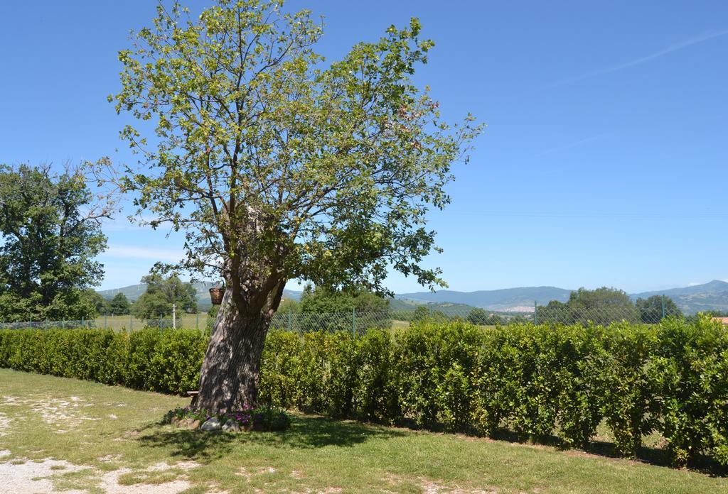 Al Bosco Delle Api Hotell Gallicchio Eksteriør bilde