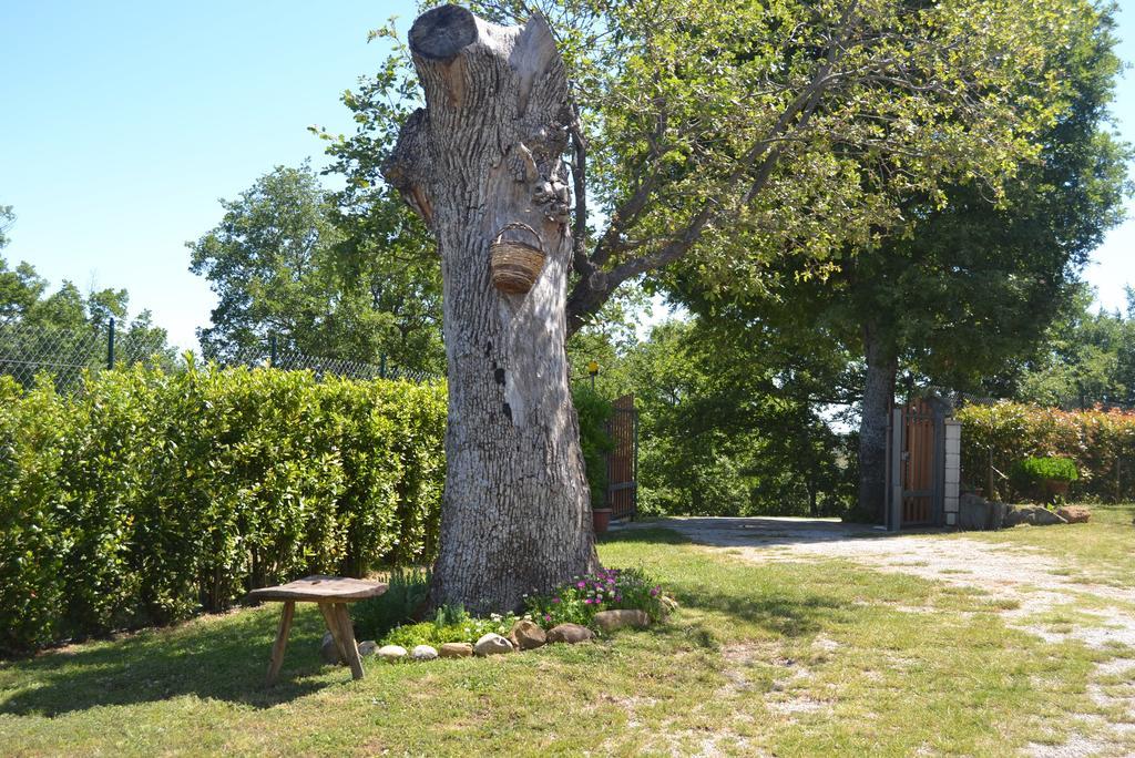 Al Bosco Delle Api Hotell Gallicchio Eksteriør bilde