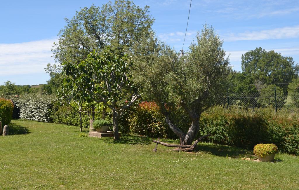 Al Bosco Delle Api Hotell Gallicchio Eksteriør bilde