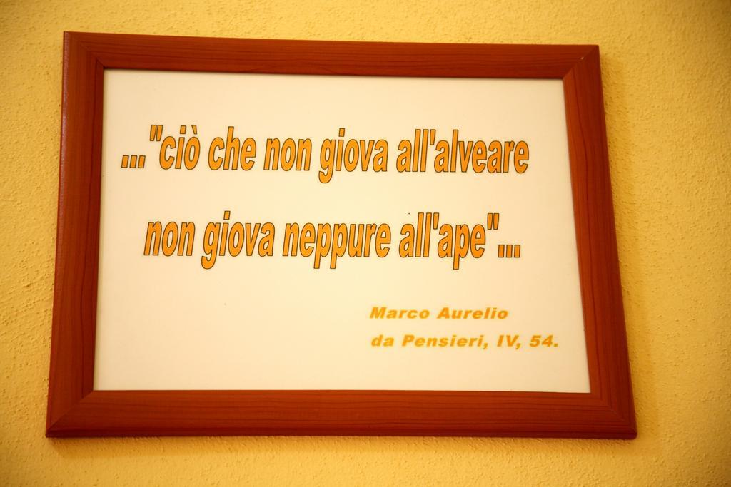 Al Bosco Delle Api Hotell Gallicchio Eksteriør bilde
